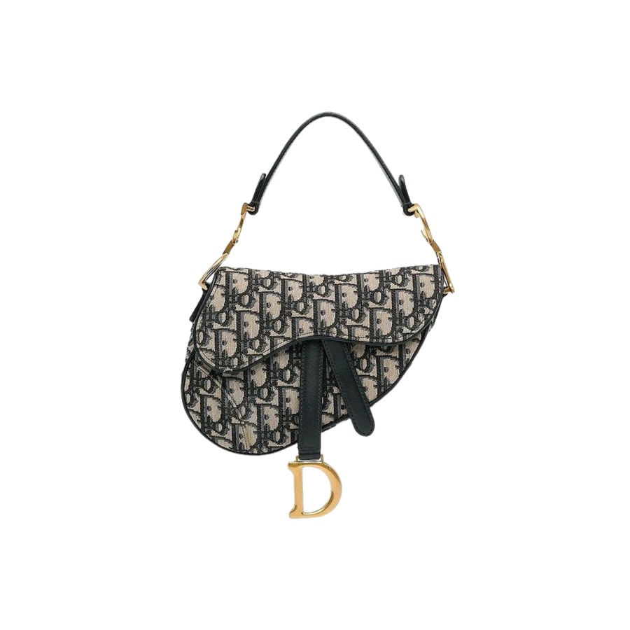Dior Mini Saddle